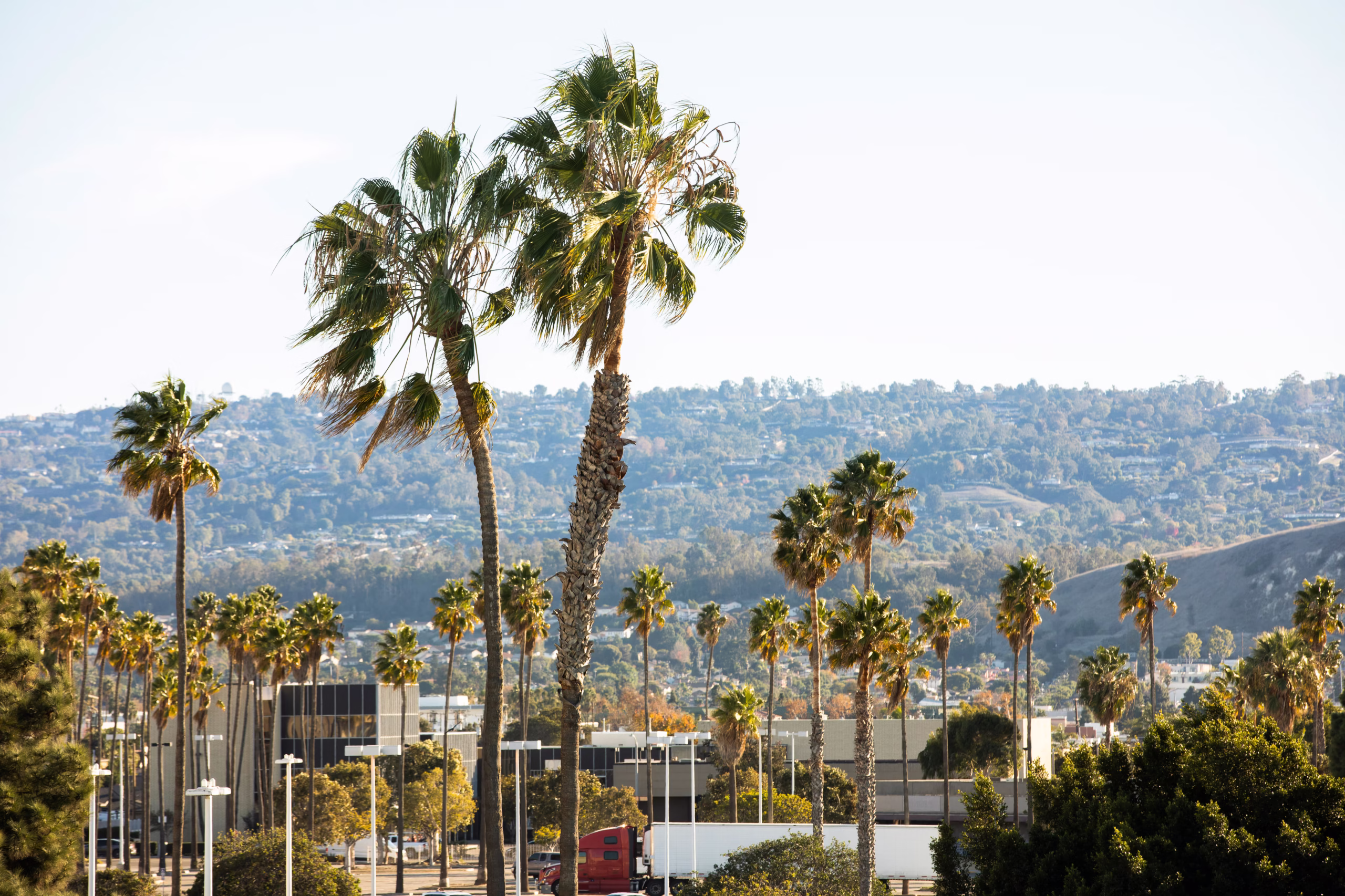 skyline of torrance california