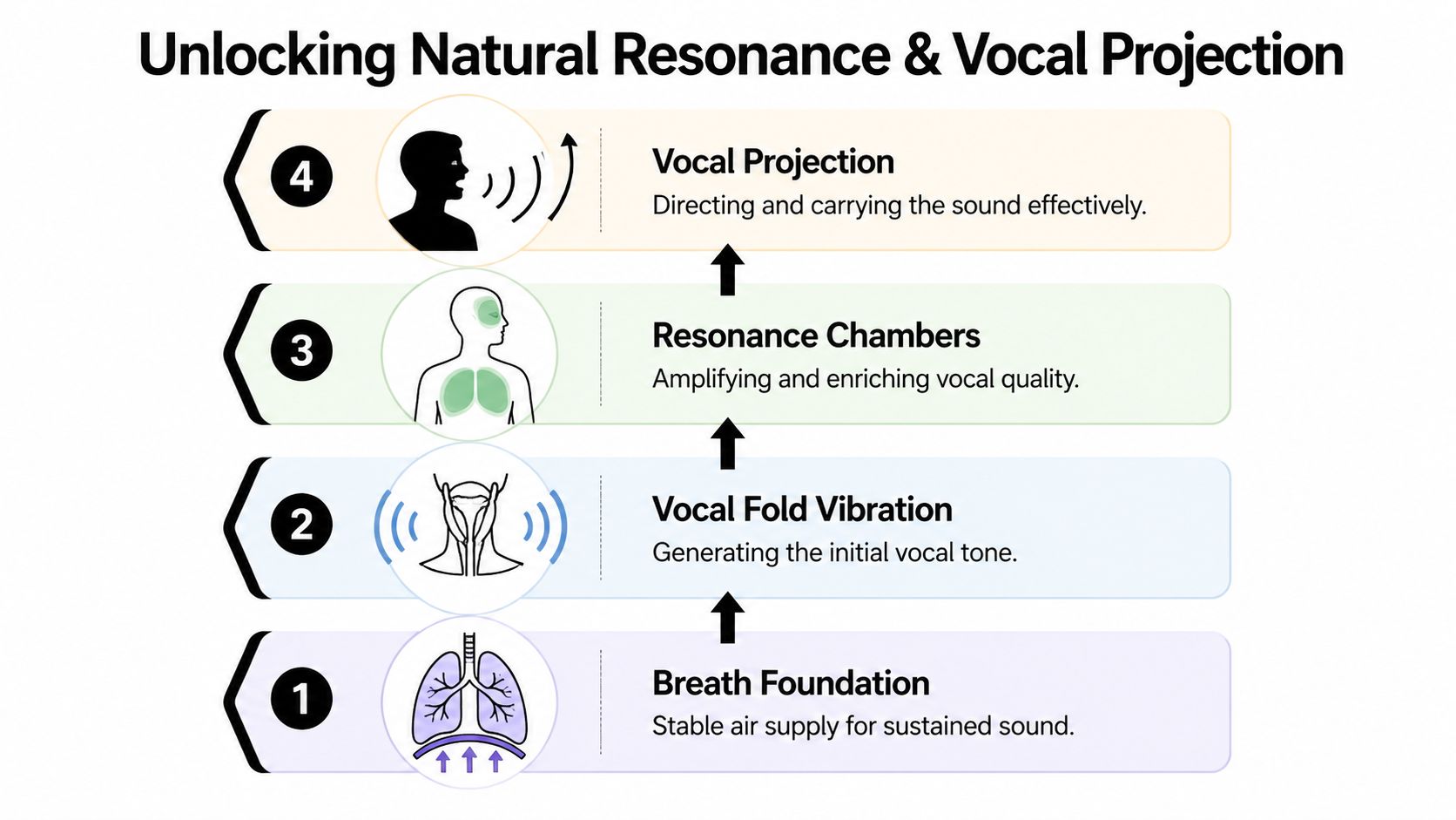 A four-step infographic illustrating the process of vocal production from breath foundation to vocal projection.