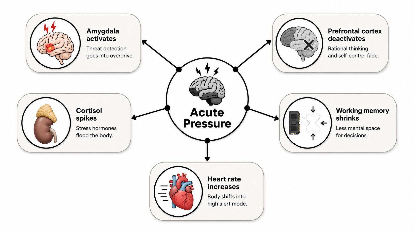 A diagram illustrating the physiological and psychological effects of acute pressure on the human body and brain.