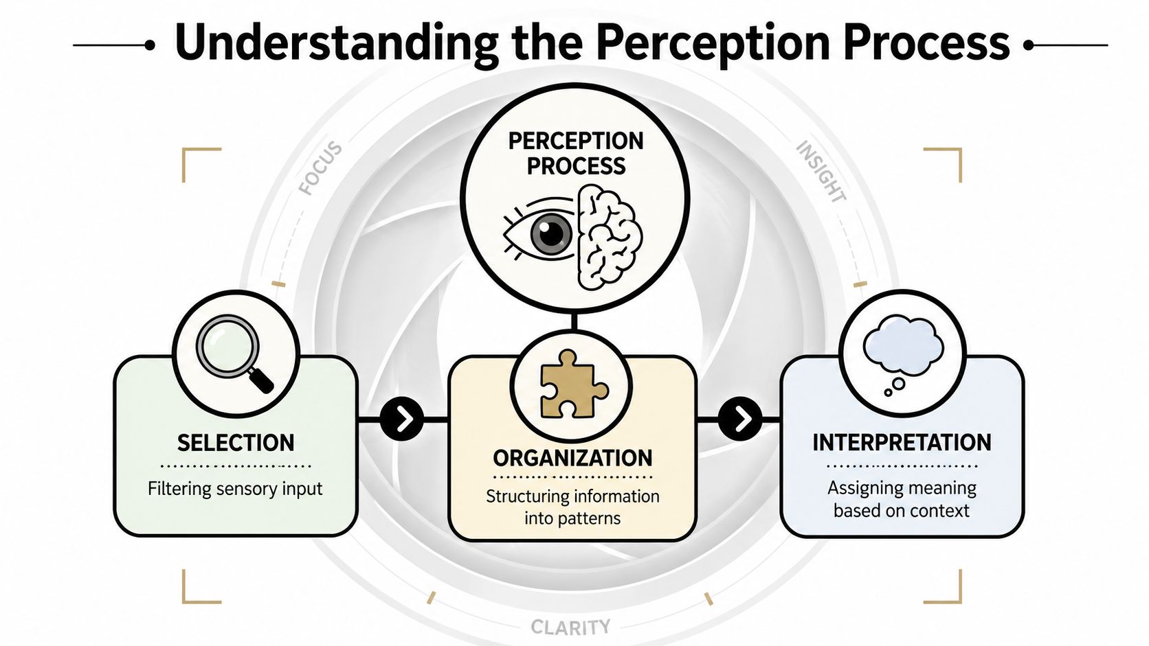 A diagram illustrating the three steps of the perception process: selection, organization, and interpretation.